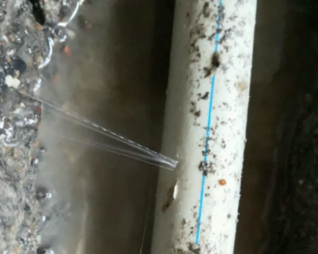沙坡头卫生间测漏水多少钱