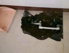 沙坡头卫生间测漏水多少钱